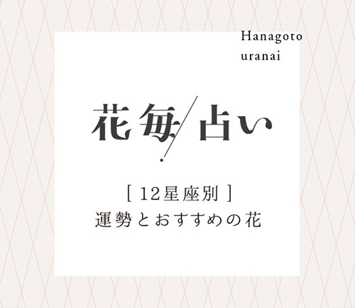 花毎占い