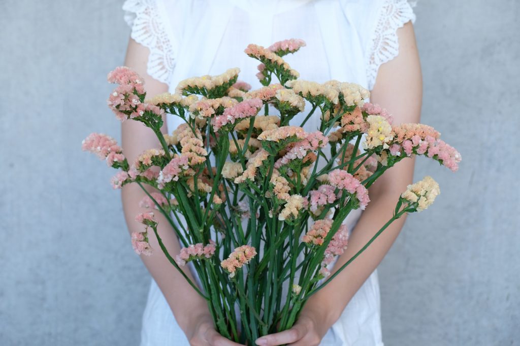 第十六話 スターチス 旬花百科 花毎 はなごと