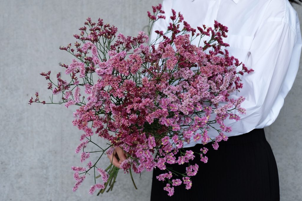 第十六話 スターチス 旬花百科 花毎 はなごと