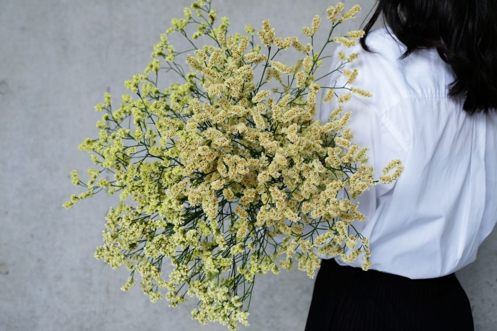 第十六話 スターチス 旬花百科 花毎 はなごと