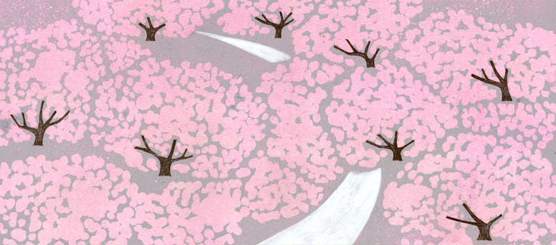 第二十八話　春分「桜」