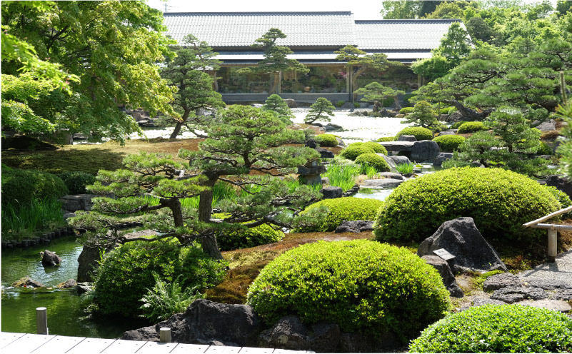 〈山陰地方編〉第二話　1日限りの奇跡の絶景「黄金の池泉牡丹」に出会う【後編】