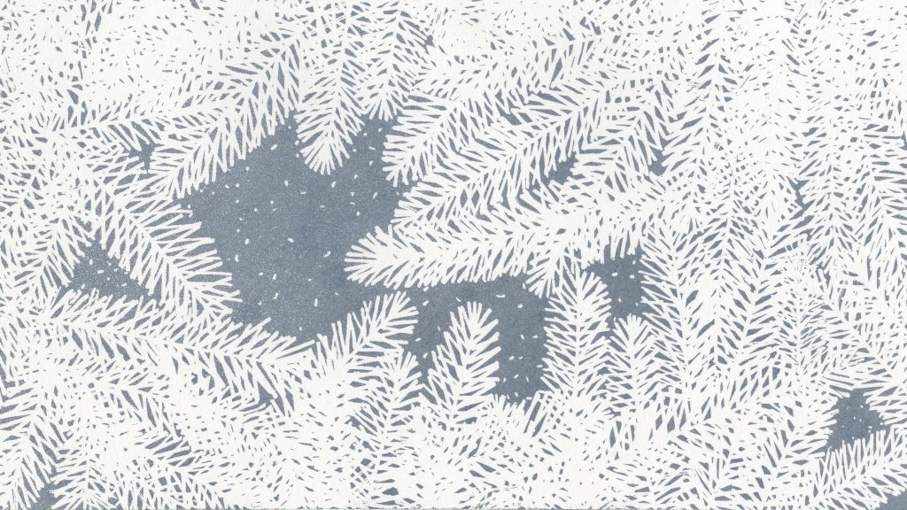 第四十六話　冬至の花絵「冬の樅の木」
