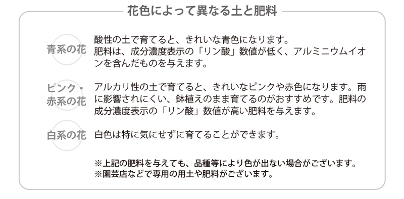 山紫陽花 お手入れ手帳 花毎 はなごと