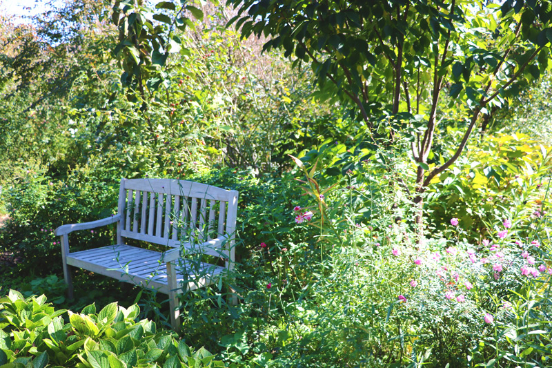 〈秋のバラ編〉第一話　都会の秘密の花園 「横浜イングリッシュガーデン」