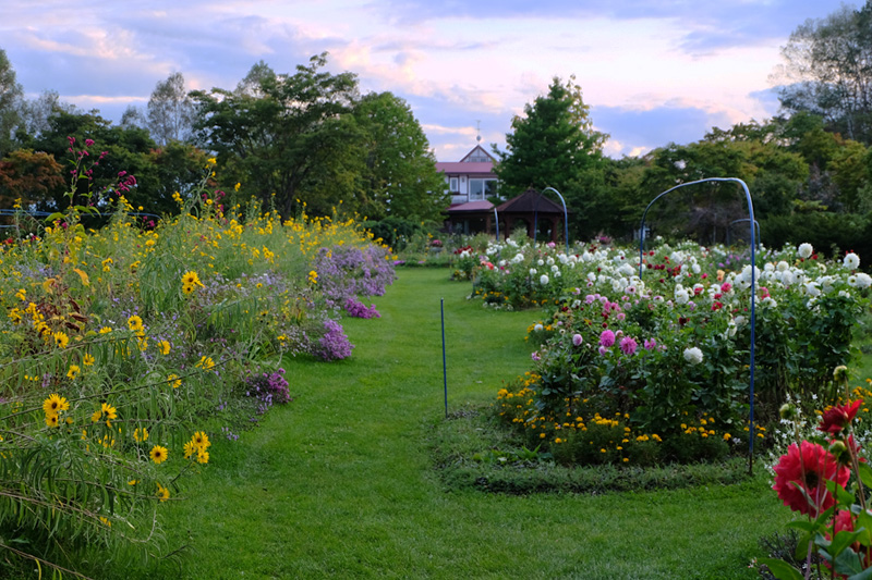 Vol 4 北海道ガーデン街道 秋編 第四話 紫竹おばあちゃんの夢から生まれた花園 紫竹ガーデン 花の旅人 花毎 はなごと