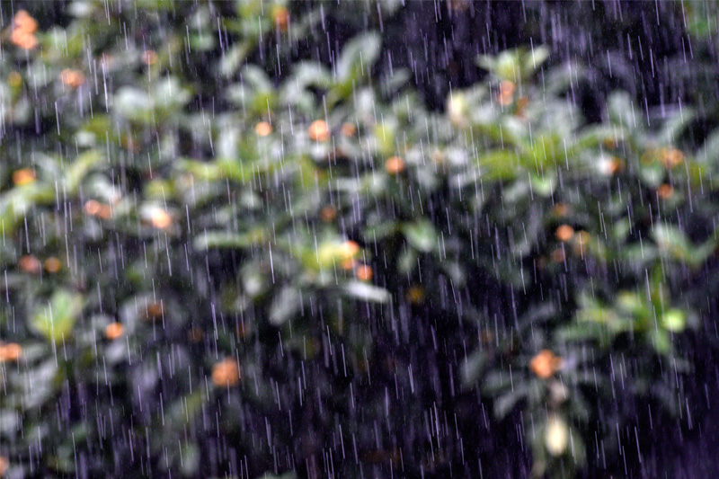 第三十一話 「六月　芒種　夏至」