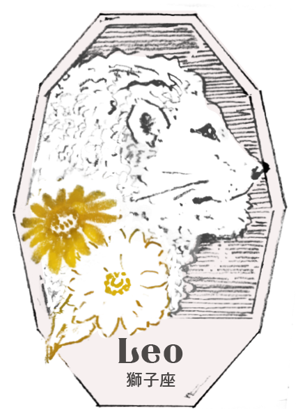 5月の獅子座