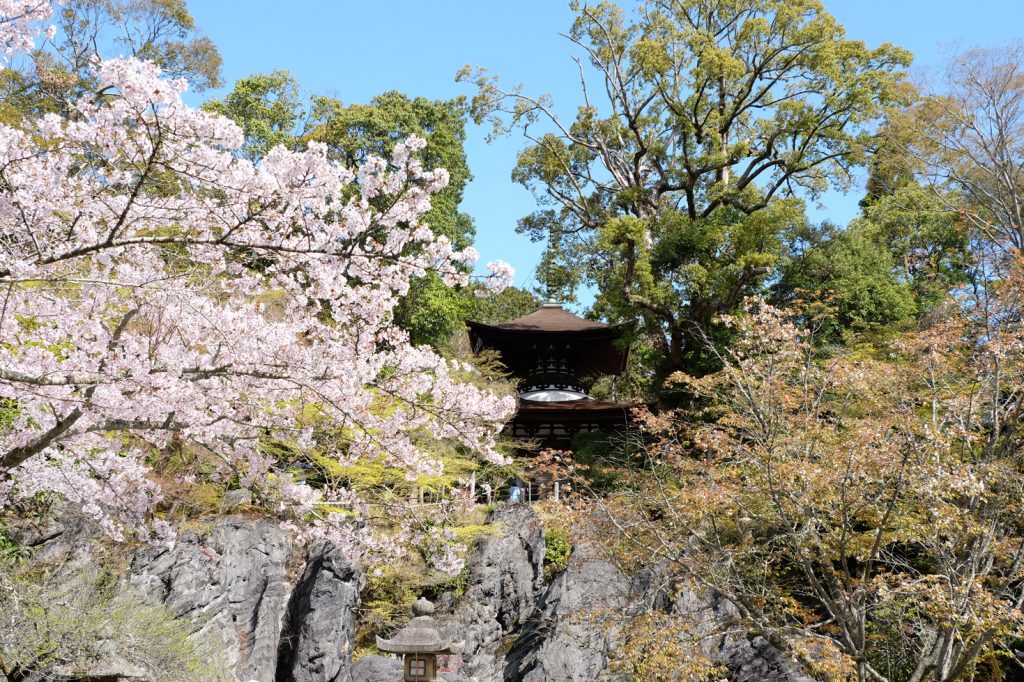 滋賀・桜と琵琶湖の絶景「石山寺」