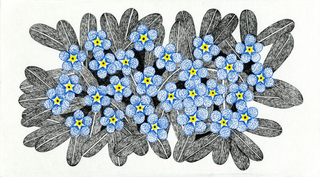 第五十四話　穀雨の花絵「勿忘草」