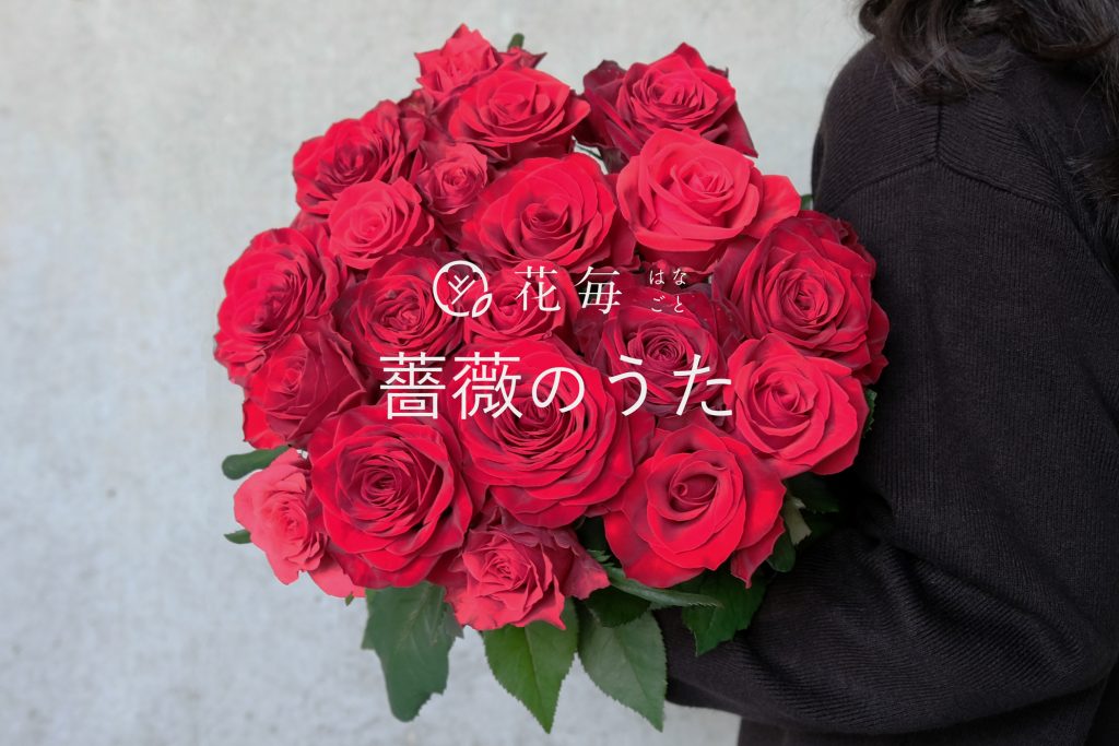 Spotifyで聴いて楽しむ薔薇のプレイリストを公開 Event 花毎 はなごと