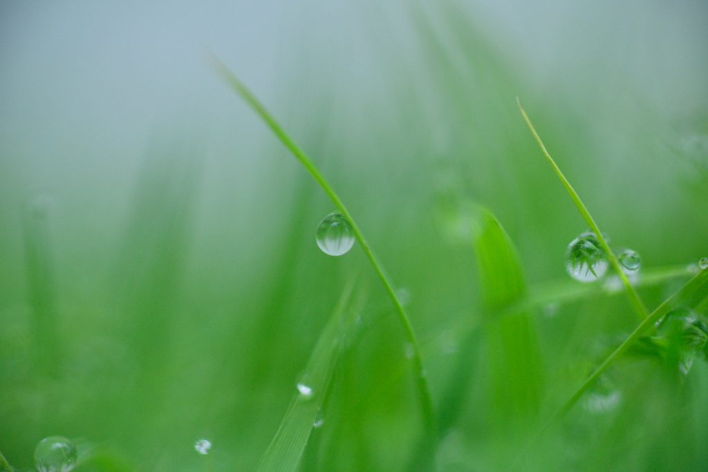 第四十三話 「六月　芒種　夏至」