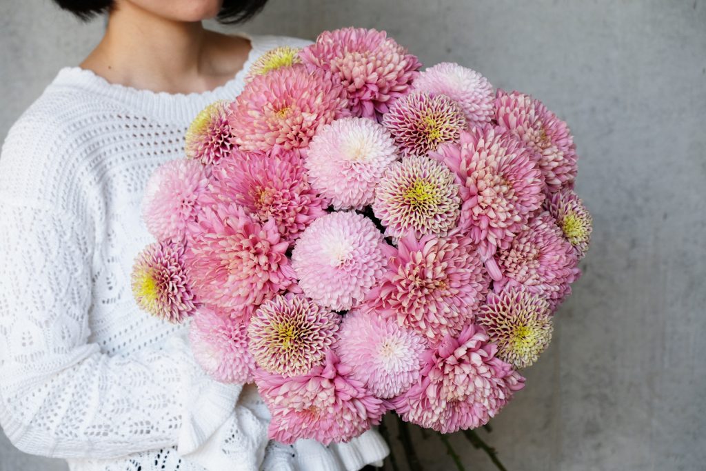 第十八話 マム 菊 旬花百科 花毎 はなごと