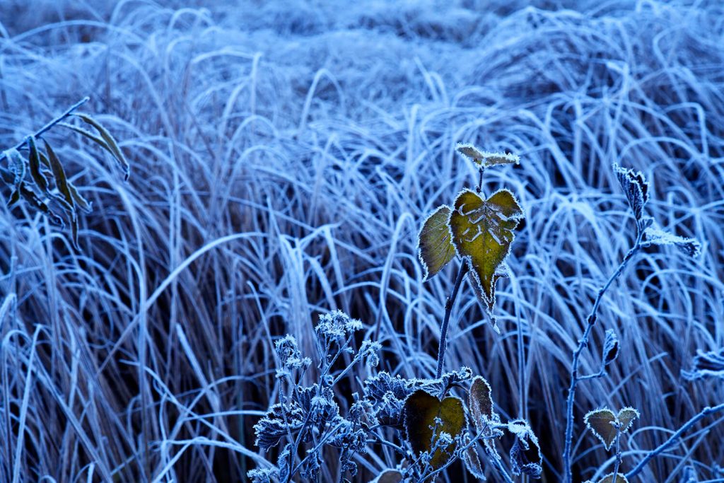 第六十一話 「十二月　大雪　冬至」