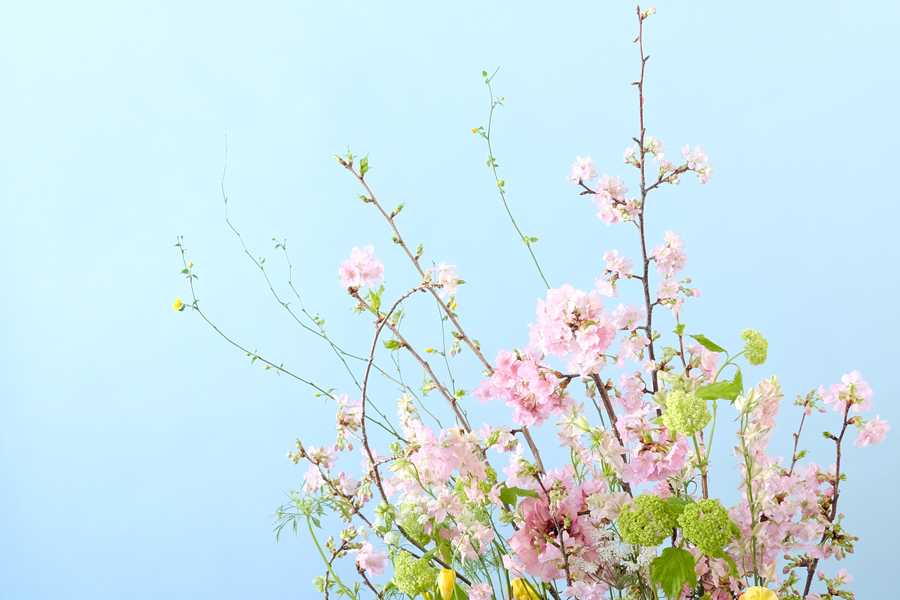 第二話 「一目千本桜に見立てる」