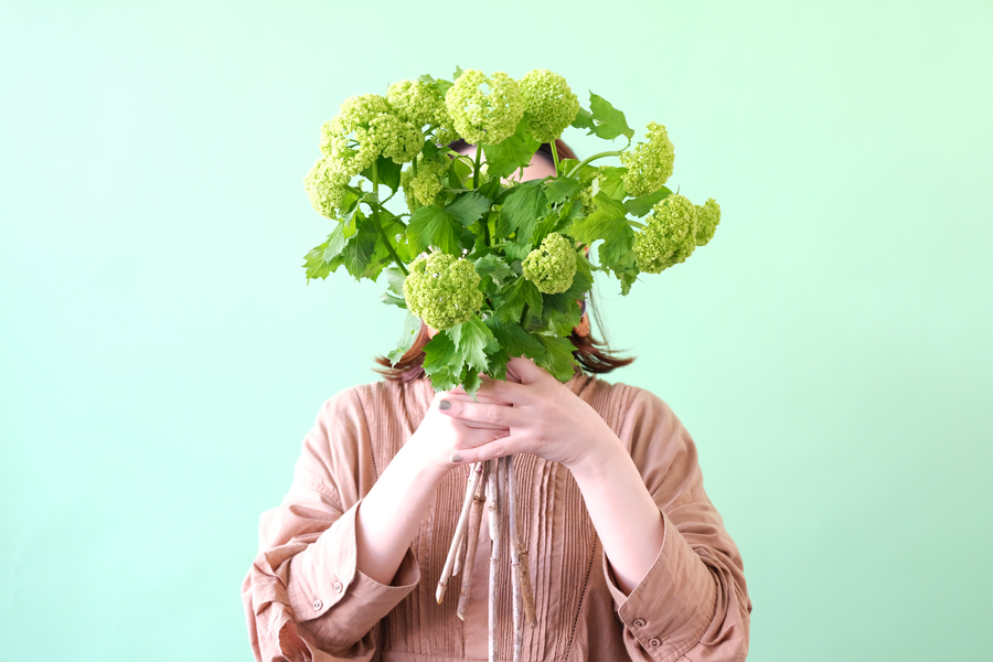 第十一話　穀雨の花あしらい「ビバーナム」