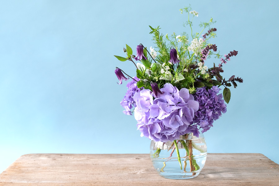 第十三話　芒種の花あしらい「アジサイ」　