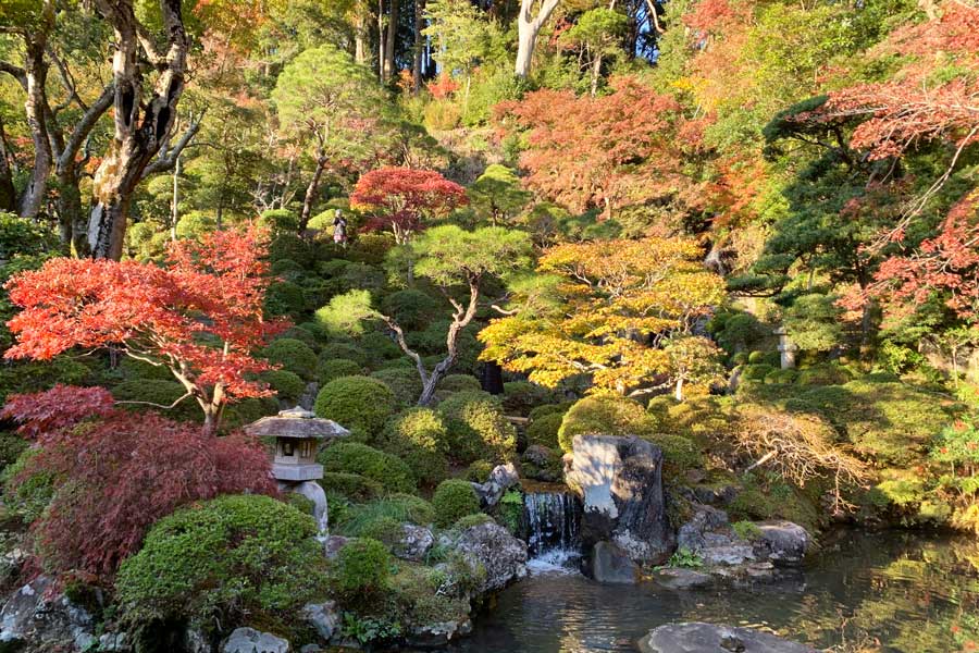 第二十三話「庭の人」