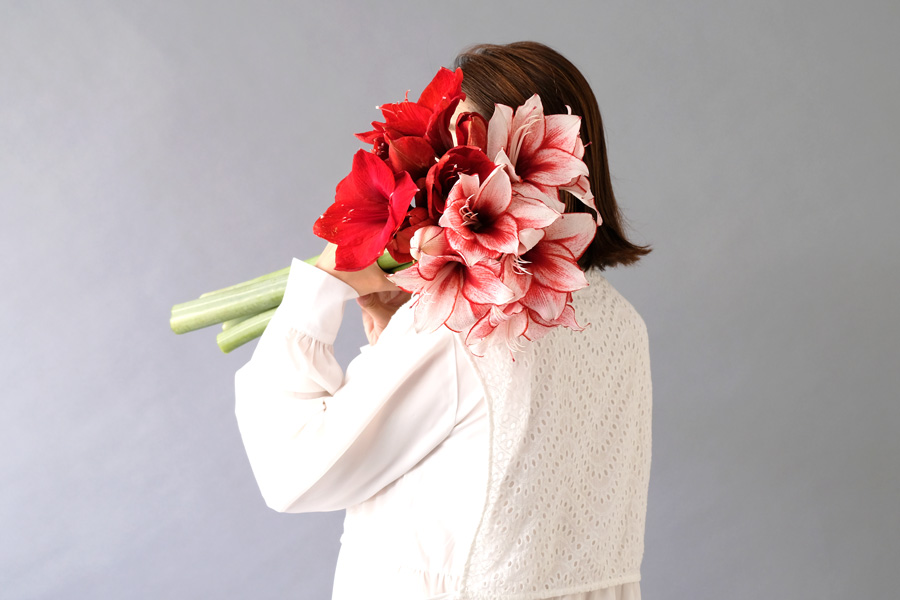 第十九話　大雪の花あしらい「アマリリス」　　