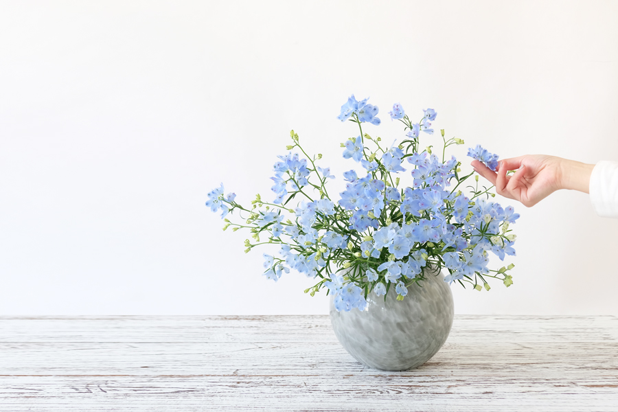 第二十三話　清明の花あしらい「デルフィニウム」