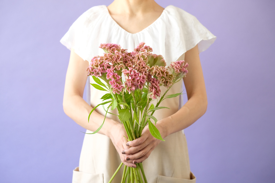 第二十七話　処暑の花あしらい「ケイトウ」