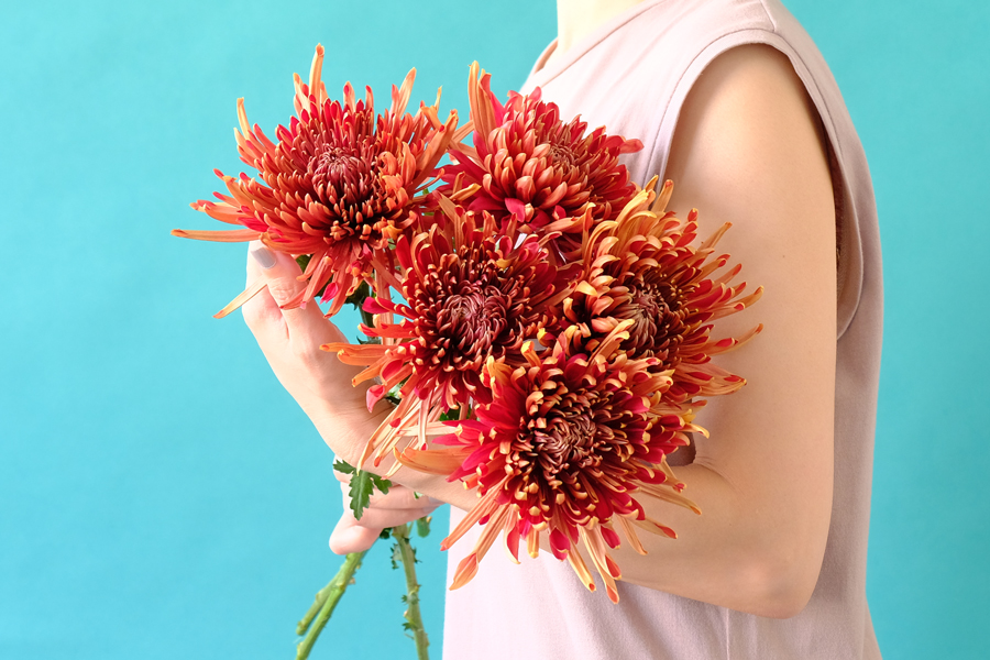 第二十八話　秋分の花あしらい「秋色の菊」