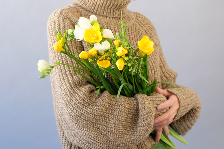 第三十二話　大寒の花あしらい「フリージア」