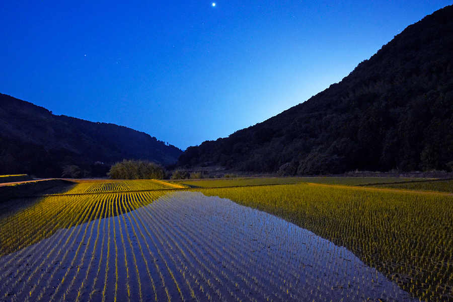 第九十一話 「六月　芒種　夏至」
