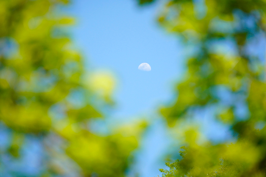 第九十話 「五月　立夏　小満」