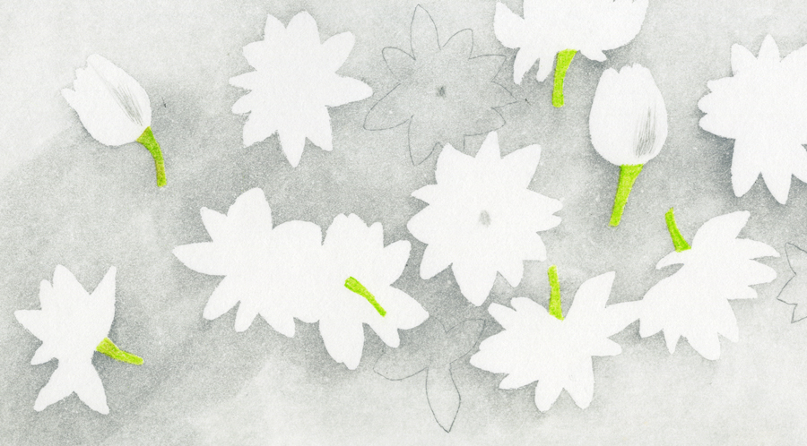 第百十七話　夏至の花絵「茉莉花」