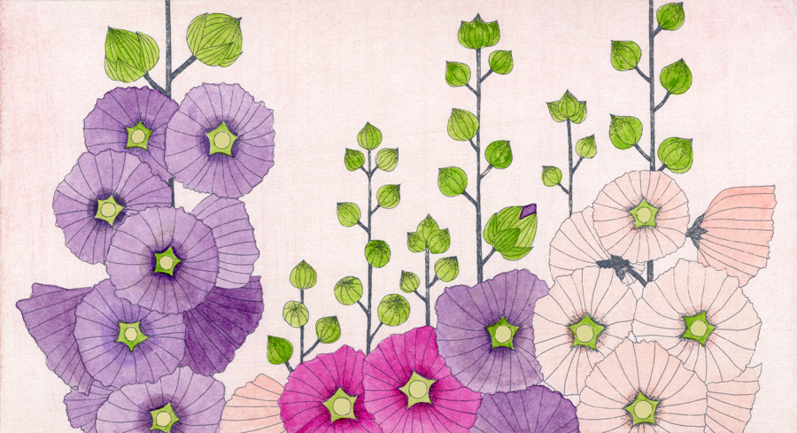 第百十八話　大暑の花絵「立葵」