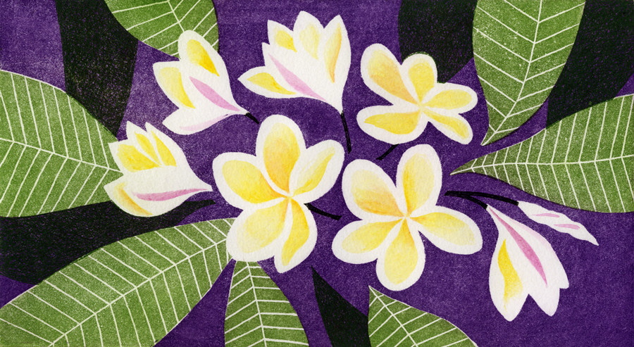 第百十九話　処暑の花絵「プルメリア」