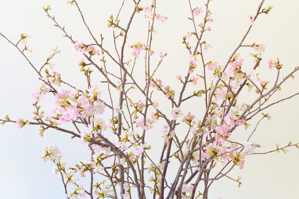 第三十三話「醍醐の花見に見立てる」