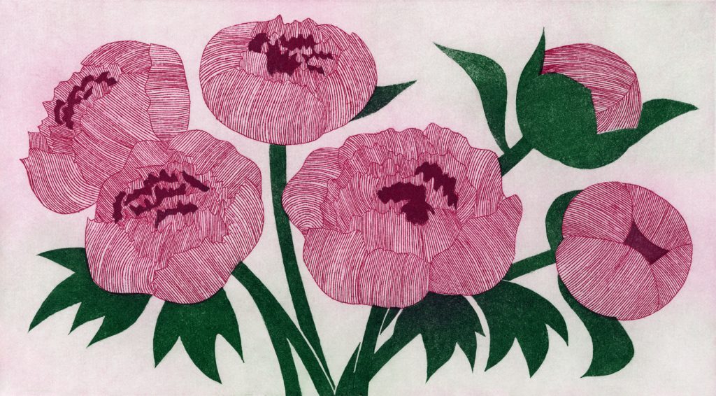 第百二十七話　穀雨の花絵「芍薬」