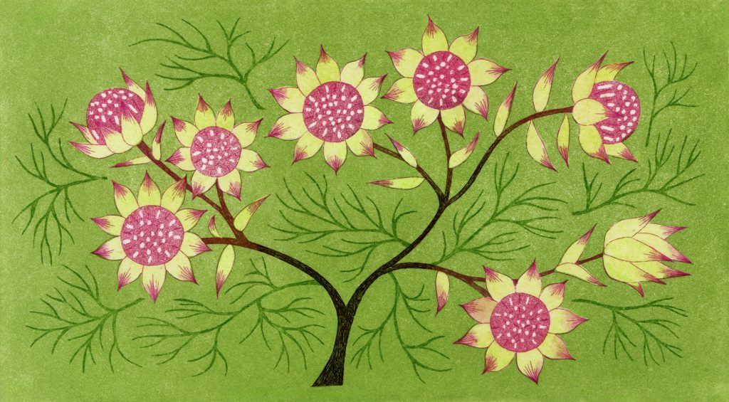 第百二十八話　小満の花絵「セルリア」