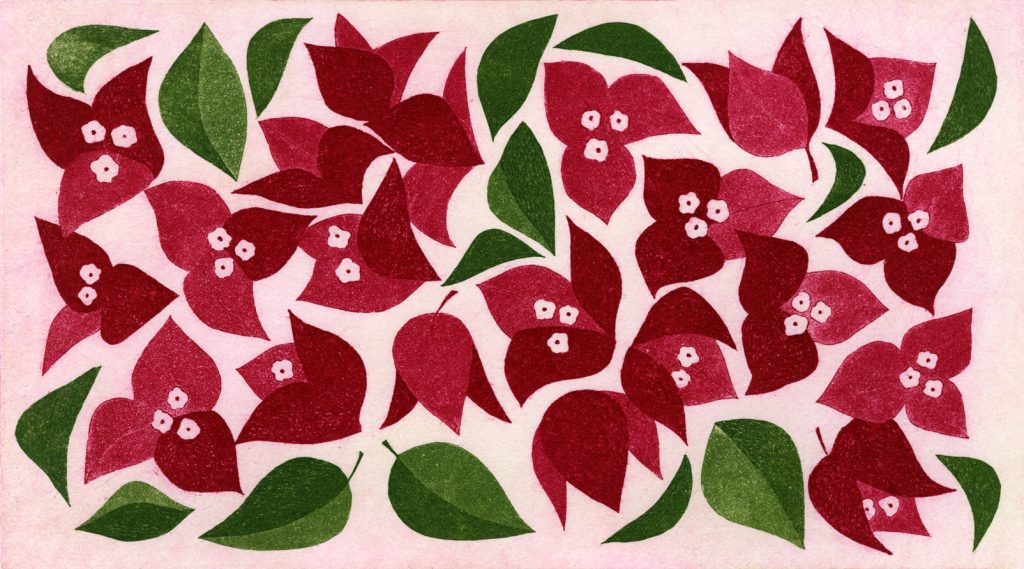 第百三十一話　立秋の花絵「ブーゲンビリア」