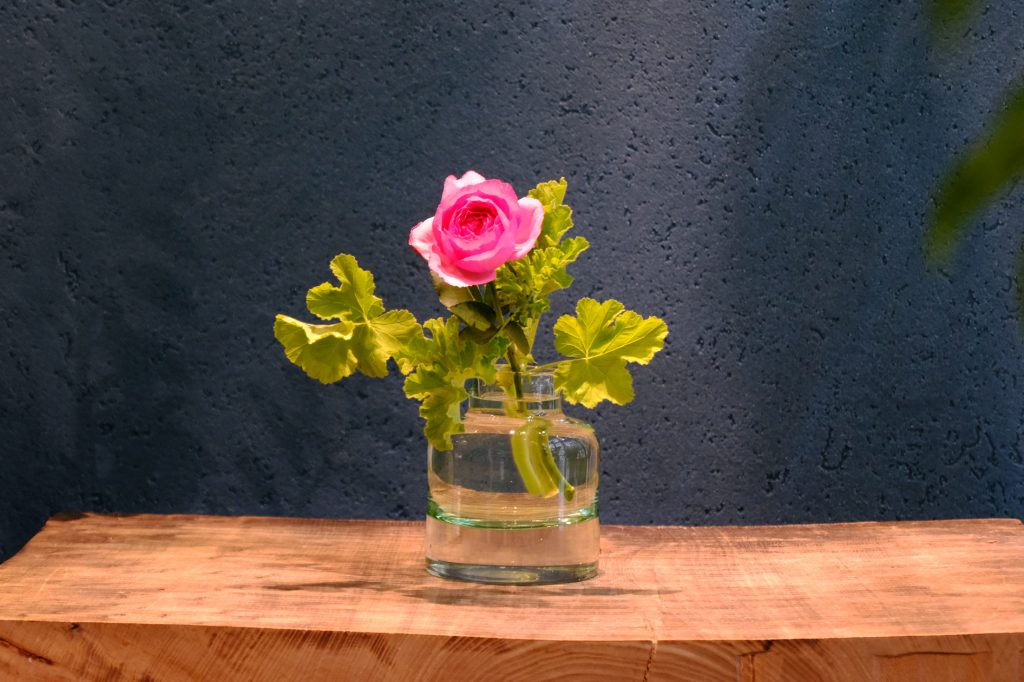 vol.4 バラを主役に──香りとともに楽しむ、9月の花のかたち