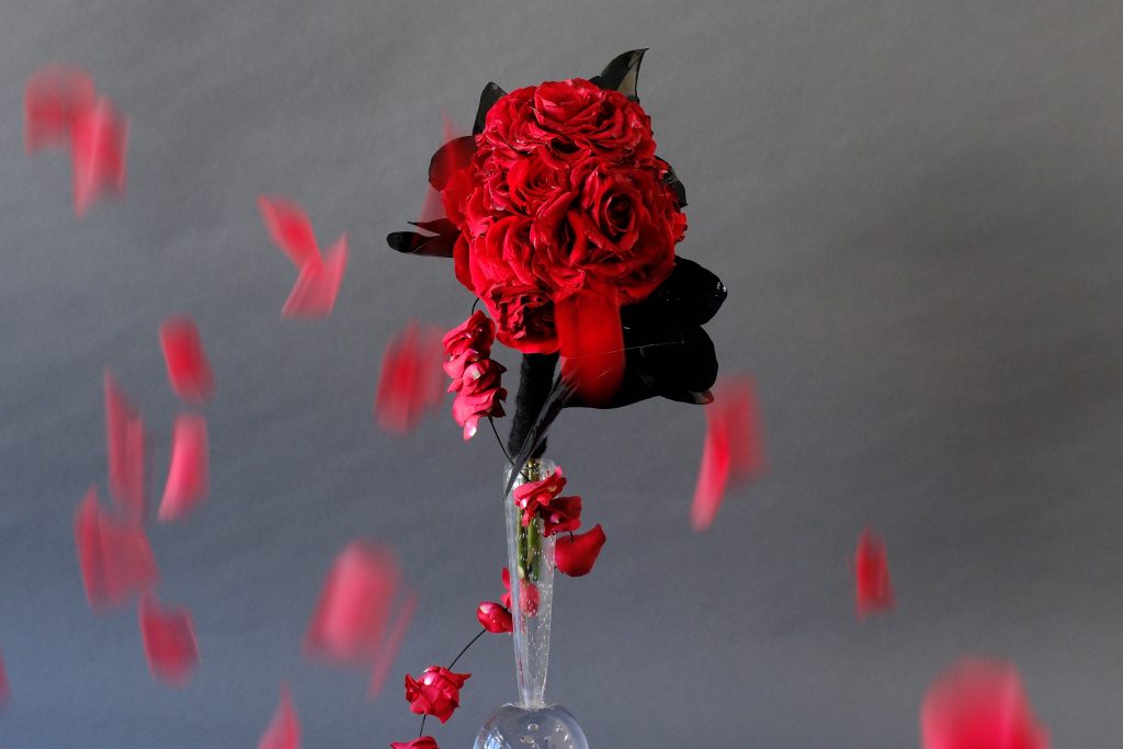 第四十二話「フラメンコに見立てる」