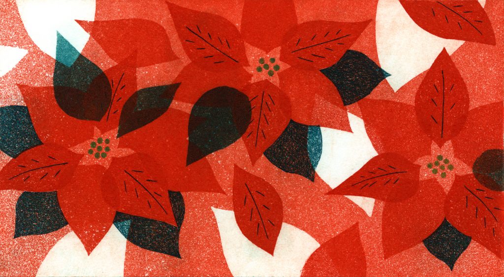 第百三十五話　大雪の花絵「ポインセチア」