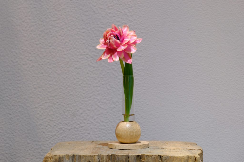 vol.14 チューリップ ──ホリデーシーズンのはじまりに彩りを