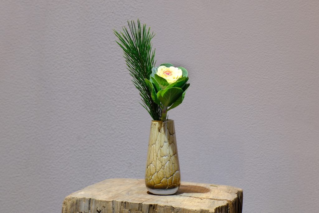 vol.18 葉牡丹 ──魅力を再発見