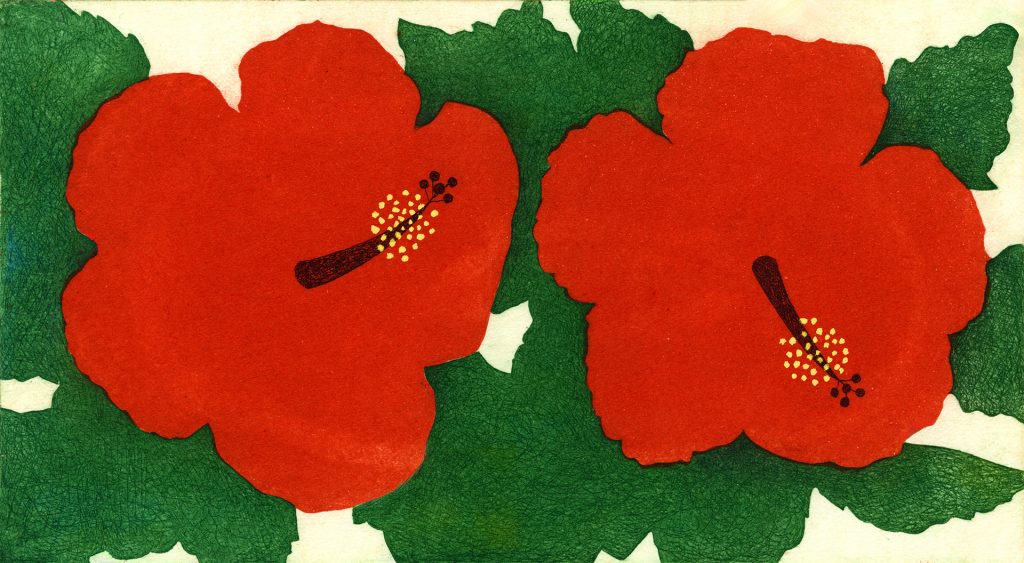 第百四十二話　大暑の花絵「ハイビスカス」