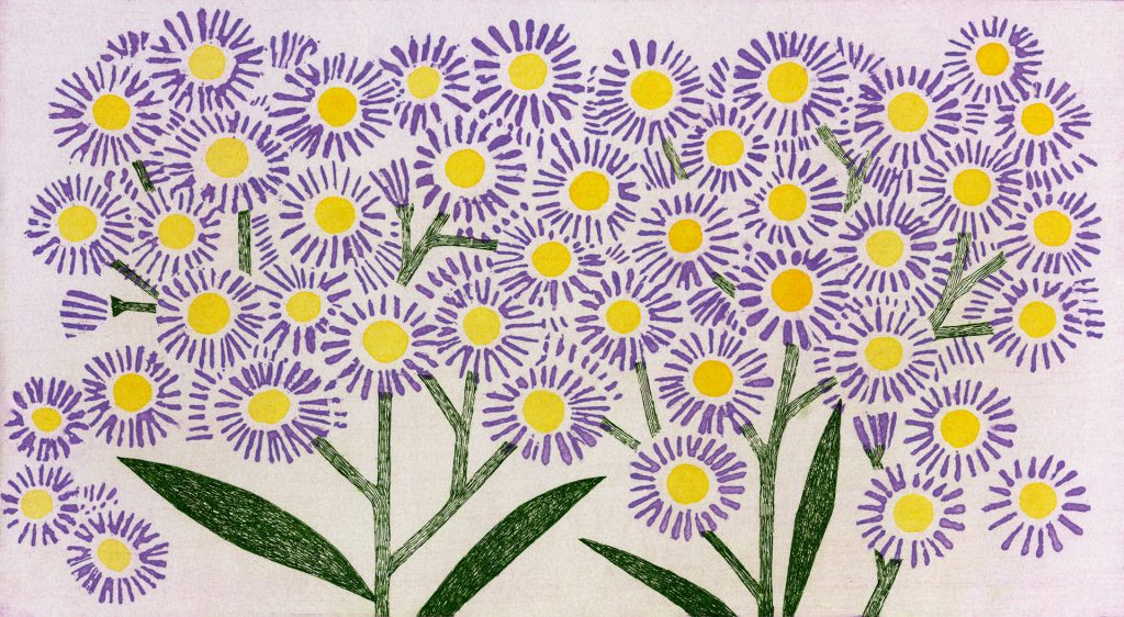 第百四十三話 秋分の花絵「紫苑」