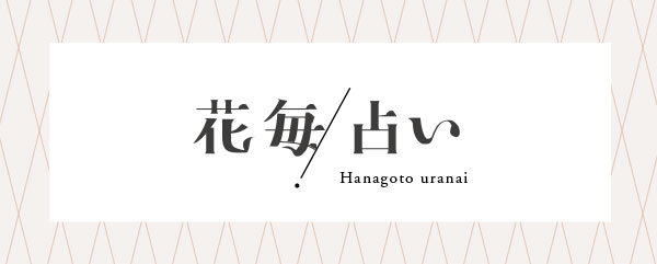 花毎占い